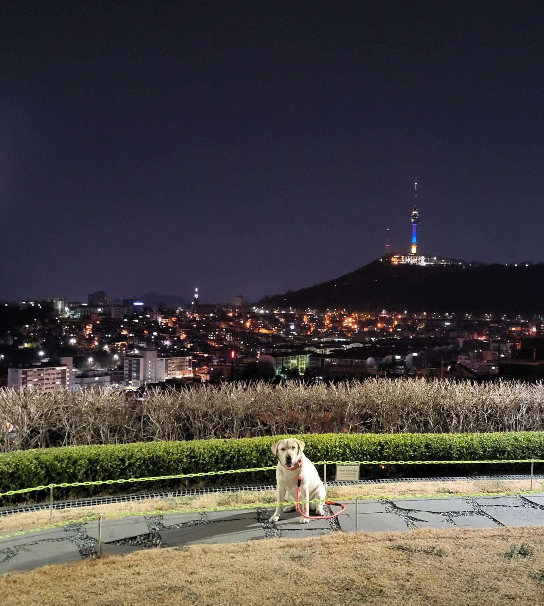 Villa On The Main Street Of Hbc #4 Seoul Exterior foto