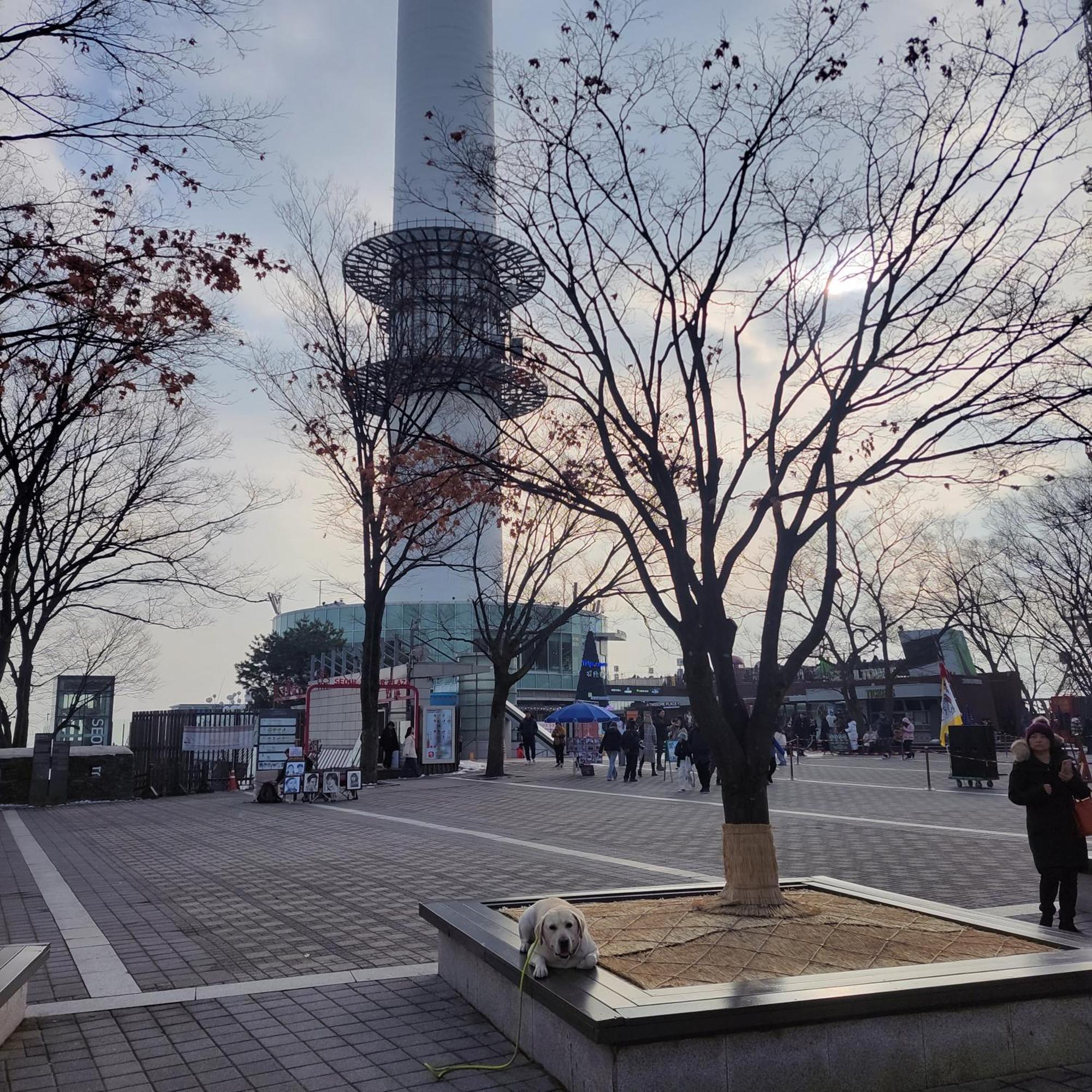 Villa On The Main Street Of Hbc #4 Seoul Exterior foto